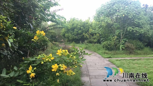 张三醉:春之声(图2) 张三醉:春之声(图2)