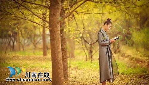杨雪：风撩人(图1)