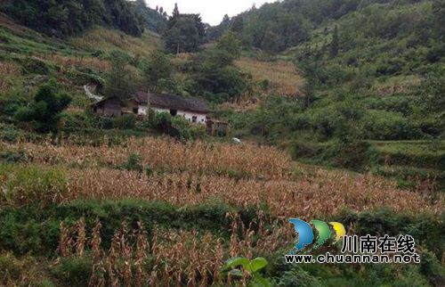观文派出所民警彭伟：扶贫路上书写古蔺公安风采