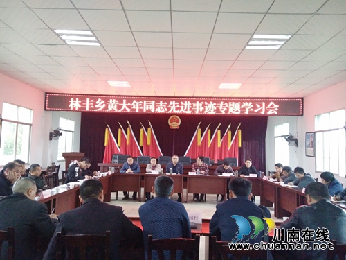 宜宾南溪区林丰乡组织学习黄大年同志先进事迹