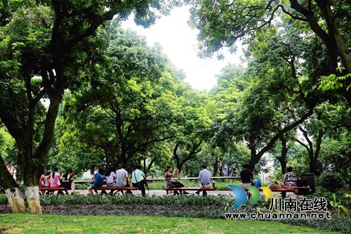喜讯!泸州市国家森林城市成功通过复检(图1) 喜讯!泸州市国家森林城市成功通过复检(图1)
