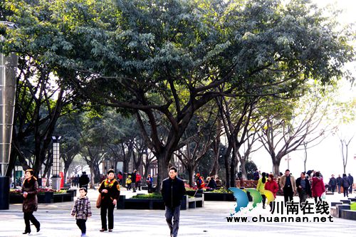 喜讯!泸州市国家森林城市成功通过复检(图3) 喜讯!泸州市国家森林城市成功通过复检(图3)