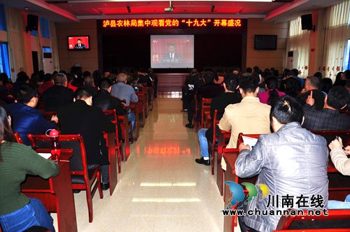 泸县农林局集中收看党的十九大开幕会盛况