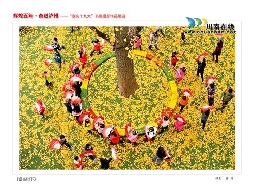 “辉煌五年·奋进泸州”书画摄影作品展今开展(图25) “辉煌五年·奋进泸州”书画摄影作品展今开展(图25)