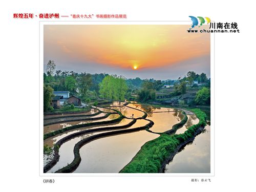 “辉煌五年·奋进泸州”书画摄影作品展今开展(图29) “辉煌五年·奋进泸州”书画摄影作品展今开展(图29)