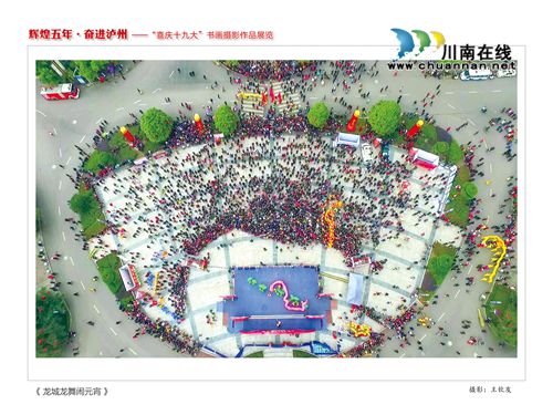 “辉煌五年·奋进泸州”书画摄影作品展今开展(图33) “辉煌五年·奋进泸州”书画摄影作品展今开展(图33)