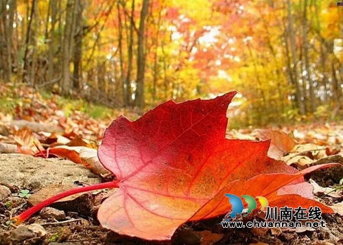 东方玛丽:我的选择(美文欣赏)(图5) 东方玛丽:我的选择(美文欣赏)(图5)