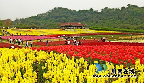 蜀南花海通过国家4A级景区初评&nbsp;建三大停车场(图1)