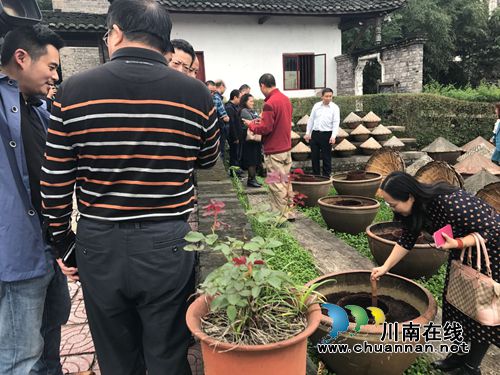 泸州市政协到合江县考察非遗传承与保护工作(图2)