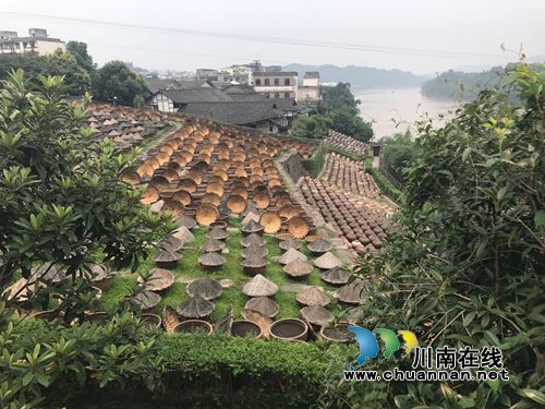 泸州市政协到合江县考察非遗传承与保护工作(图3)