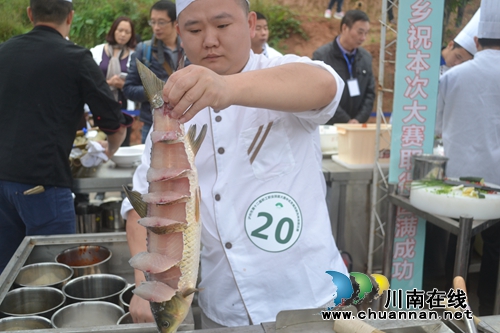 泸州“梦里水乡杯”烹饪大赛在纳溪凤凰湖举行(图2) 泸州“梦里水乡杯”烹饪大赛在纳溪凤凰湖举行(图2)