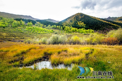 毛锦波:弦歌悠悠古羌情(美文欣赏)(图2) 毛锦波:弦歌悠悠古羌情(美文欣赏)(图2)