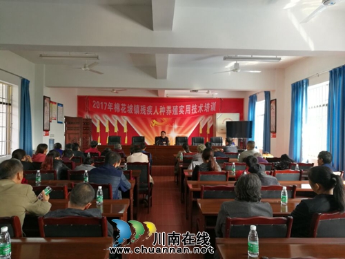 纳溪区棉花坡镇：开展技能培训&nbsp;助残疾人增收
