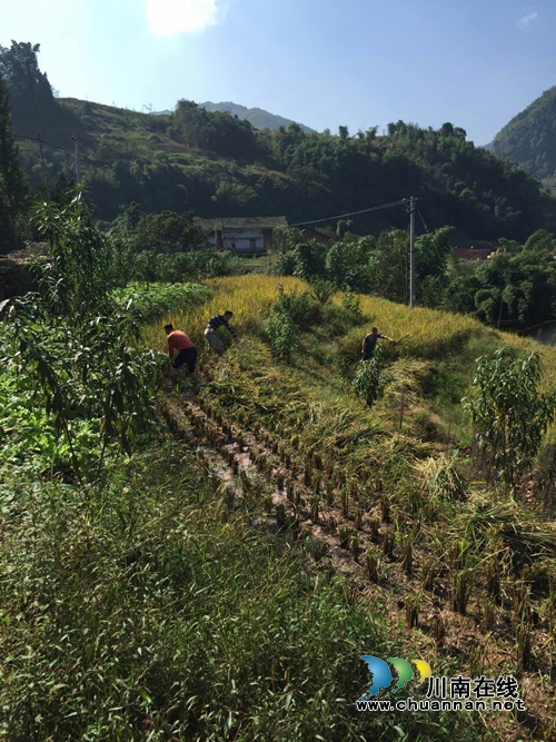 合江:国土扶贫显真情 福宝穆村换新貌(图2) 合江:国土扶贫显真情 福宝穆村换新貌(图2)