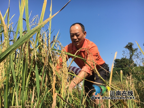 合江:国土扶贫显真情 福宝穆村换新貌(图3) 合江:国土扶贫显真情 福宝穆村换新貌(图3)