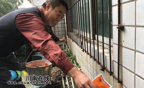 泸州红星街道扎实开展秋季灭鼠病媒生物防治工作