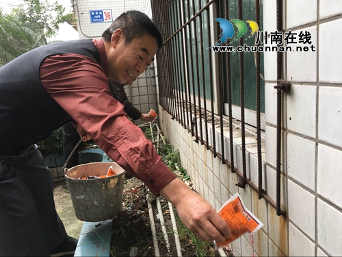 红星街道扎实开展秋季灭鼠病媒生物防治工作