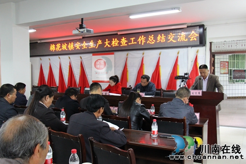 纳溪棉花坡镇开展安全生产大检查总结交流会