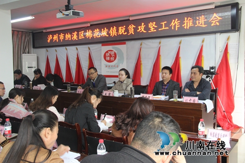 纳溪区棉花坡镇开展脱贫攻坚工作推进会(图1)