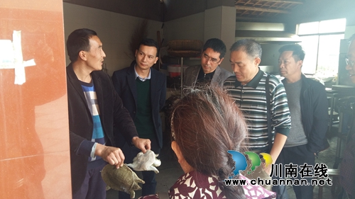省农业厅专家组莅临泸县检查水产品质量安全(图1)