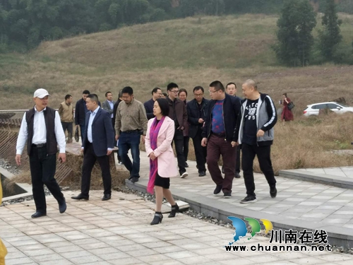 泸州市纳溪区委书记徐利率队调研顺成和酒庄项目建设(图1)