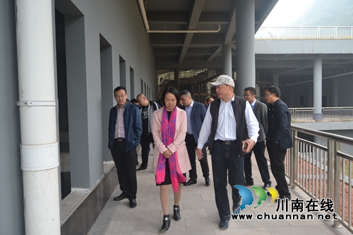泸州市纳溪区委书记徐利率队调研顺成和酒庄项目建设(图2)
