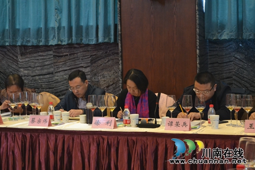 泸州市纳溪区委书记徐利率队调研顺成和酒庄项目建设(图3)