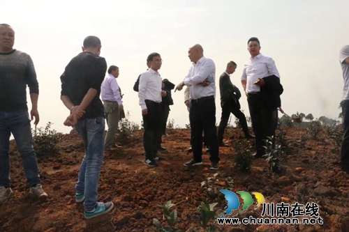 泸州市乡村旅游“带头人”赴合江九支真龙考察(图1)