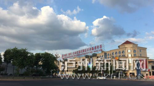 朱以庄莅泸调研：自贸区发展推动有力成果显著(图1)