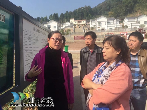 台北中华游文创团队考察泸州乡村旅游带头企业(图4)