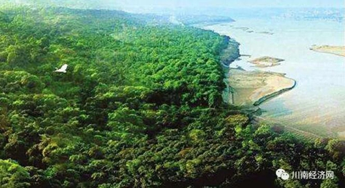 发现张坝之十二:海观秋澜与茜草记忆(图6) 发现张坝之十二:海观秋澜与茜草记忆(图6)