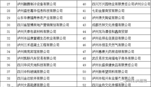 泸州将举办智能终端产业校园招聘会(图2) 泸州将举办智能终端产业校园招聘会(图2)