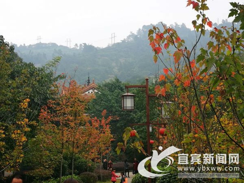 宜宾流杯池维修完毕 宋代石刻题记新面貌示人(图4) 宜宾流杯池维修完毕 宋代石刻题记新面貌示人(图4)