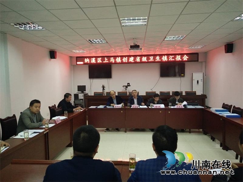 泸州市纳溪区两镇接受省级卫生镇考核评审