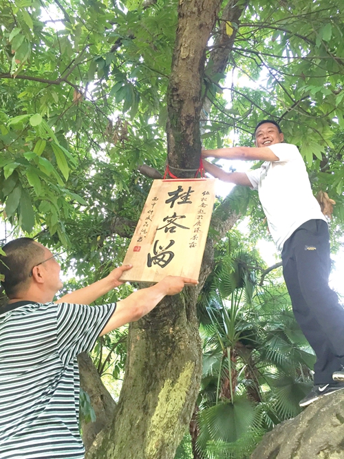 回眸松乔 行吟天国(图12) 回眸松乔 行吟天国(图12)