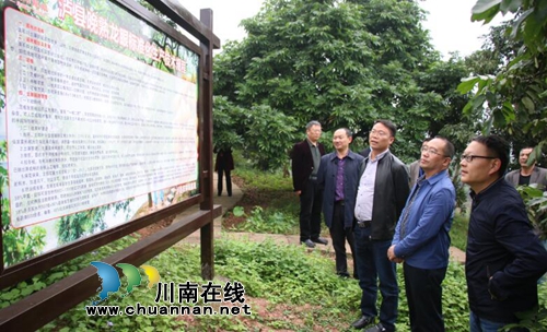 省农业厅到泸县潮河镇开展农产品质量安全验收工作