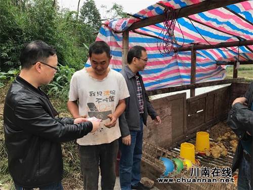 纳溪区人民医院助贫困户发展家畜脱贫(图2)