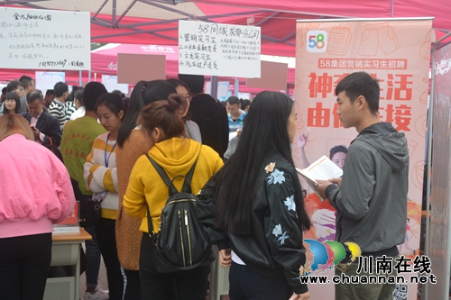 泸州举办智能终端产业校园招聘会(图5)