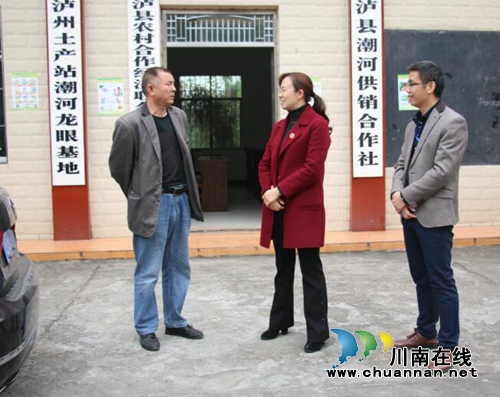 泸县潮河镇开展“幸福美丽新村”及“四好村”建设督查