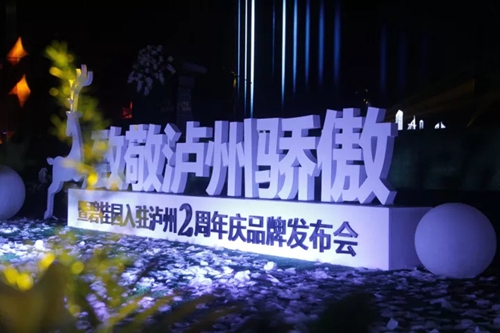 碧桂园入驻泸州两周年品牌发布会圆满落幕(图5) 碧桂园入驻泸州两周年品牌发布会圆满落幕(图5)