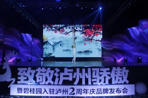 碧桂园入驻泸州两周年品牌发布会圆满落幕(图9) 碧桂园入驻泸州两周年品牌发布会圆满落幕(图9)