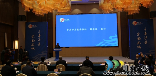 探讨龙文化与旅游融合 泸县举行龙文化峰会(图4) 探讨龙文化与旅游融合 泸县举行龙文化峰会(图4)