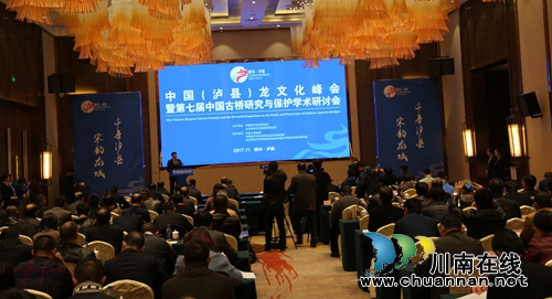 探讨龙文化与旅游融合 泸县举行龙文化峰会(图2) 探讨龙文化与旅游融合 泸县举行龙文化峰会(图2)