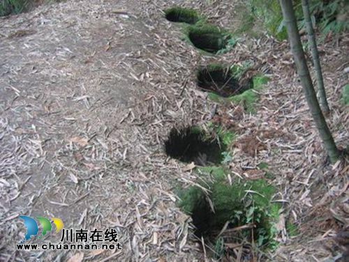 泸县龙贯山煤矿洞中现人体白骨 村民吓跑(图3) 泸县龙贯山煤矿洞中现人体白骨 村民吓跑(图3)