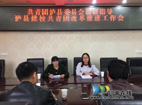 共青团泸县县委调研泸州建校共青团改革工作(图3)