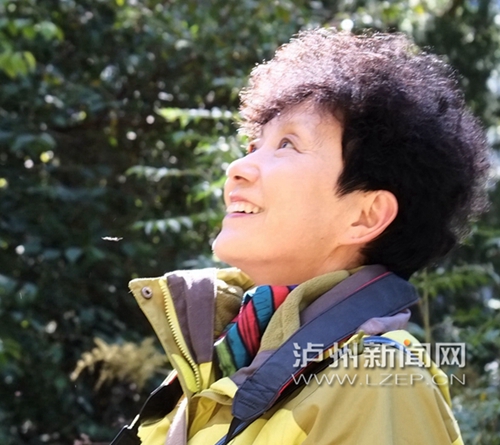 泸州画家谢兰办画展：以墨色浓淡表趣远之心