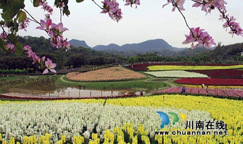 四川6景区拟升级4A 宜宾蜀南花海榜上有名!(图1) 四川6景区拟升级4A 宜宾蜀南花海榜上有名!(图1)
