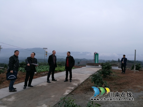 合江县虎头镇两个脱贫奔康产业园建成并顺利通过验收