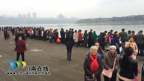 红嘴鸥不远万里来泸州过冬 东门口观者如堵!(图10) 红嘴鸥不远万里来泸州过冬 东门口观者如堵!(图10)