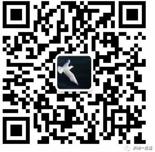 《保护红嘴鸥&nbsp;共居美丽泸州》倡议书(图2)